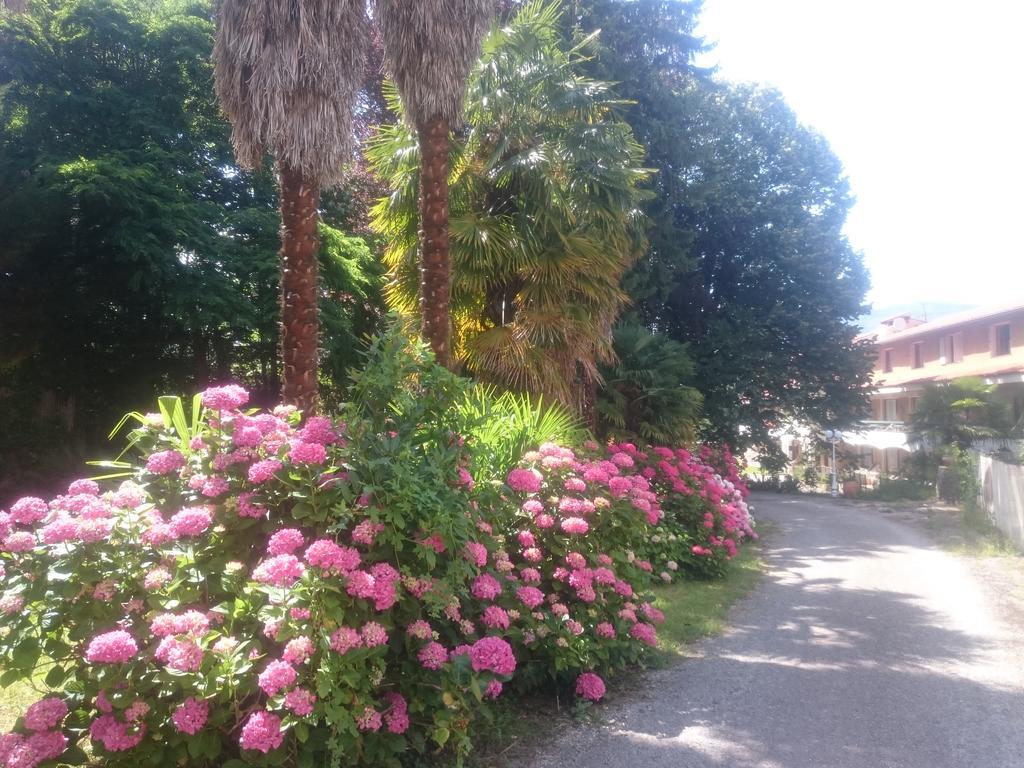 Hotel Le Mas Fleuri Vernet-les-Bains Luaran gambar