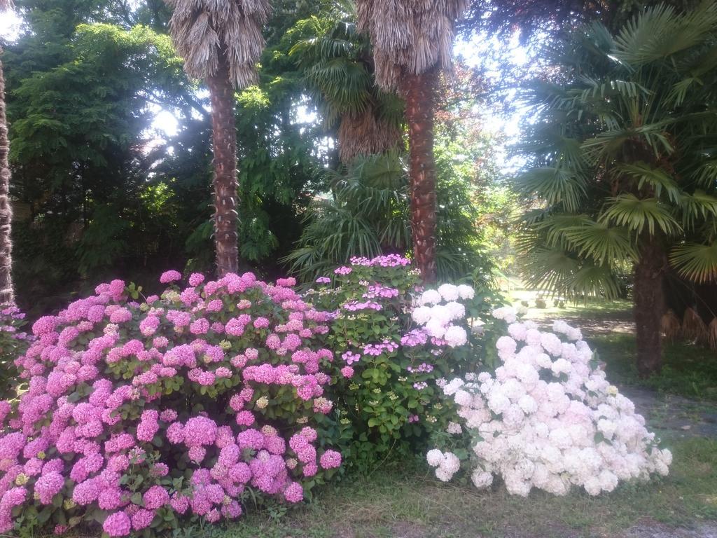 Hotel Le Mas Fleuri Vernet-les-Bains Luaran gambar